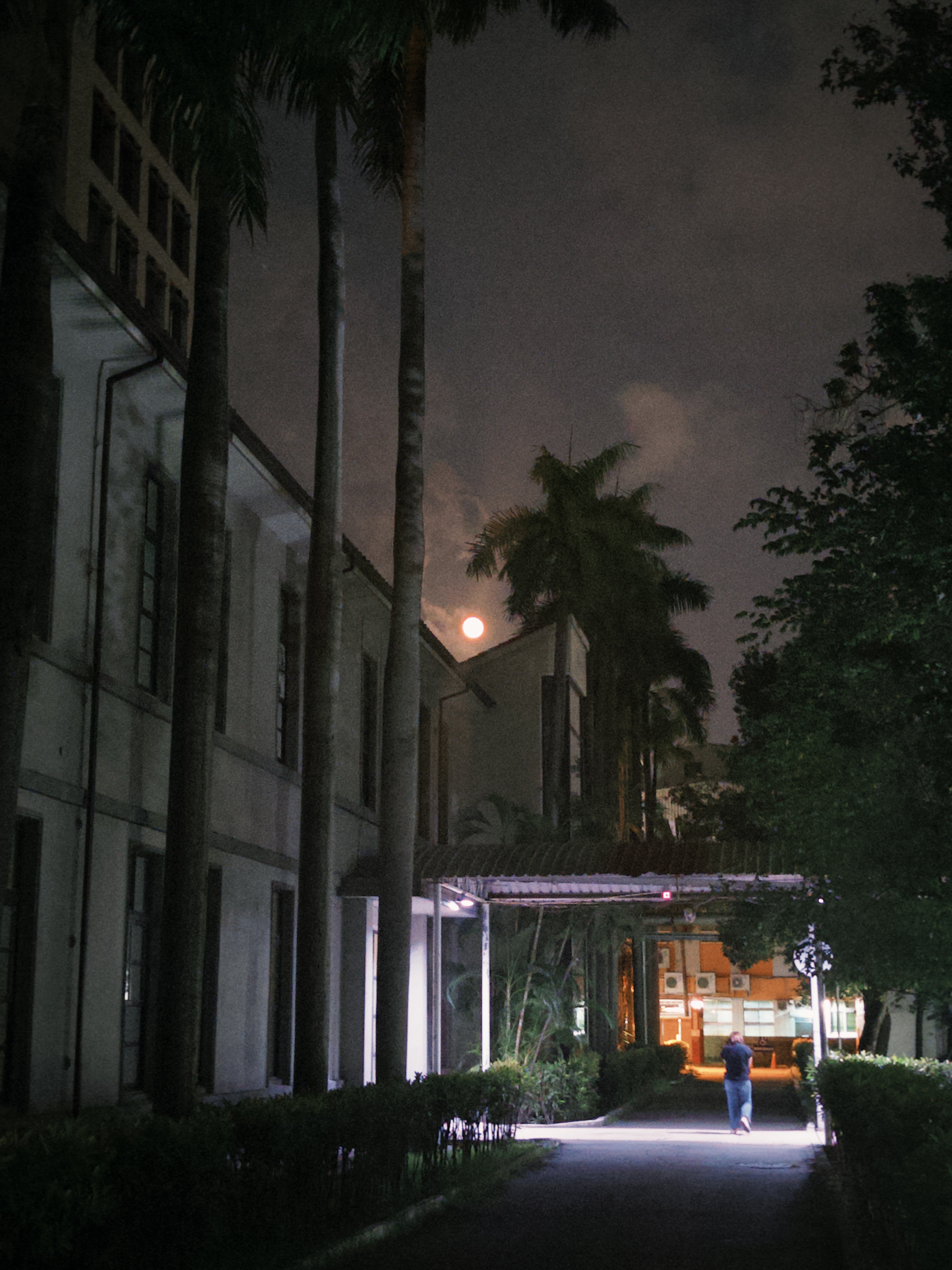 又大又圓的月亮