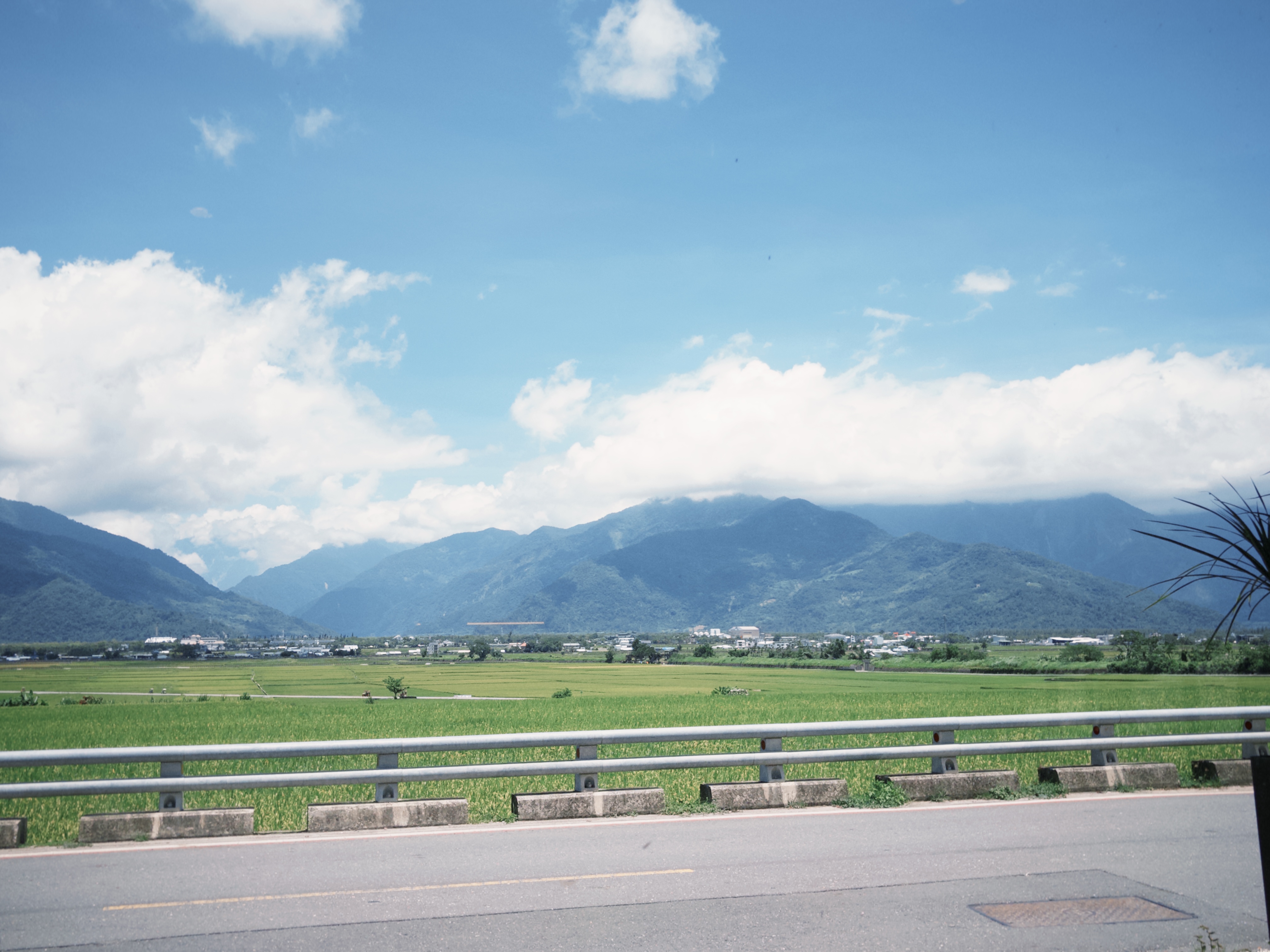 我想過「策展式生活」